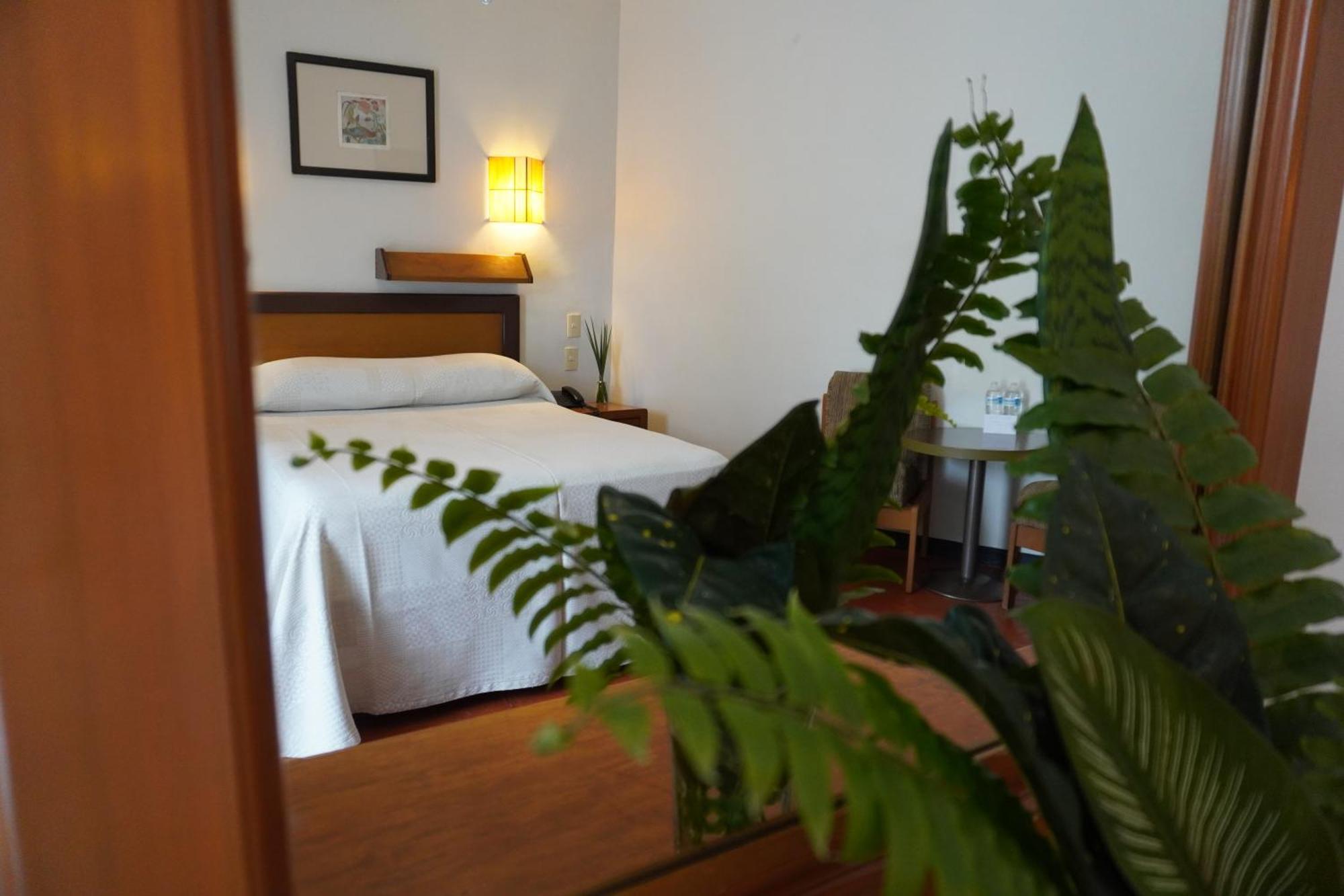 Hotel Ilebal Cuernavaca Centro - Lugar Con Encanto! Exteriör bild