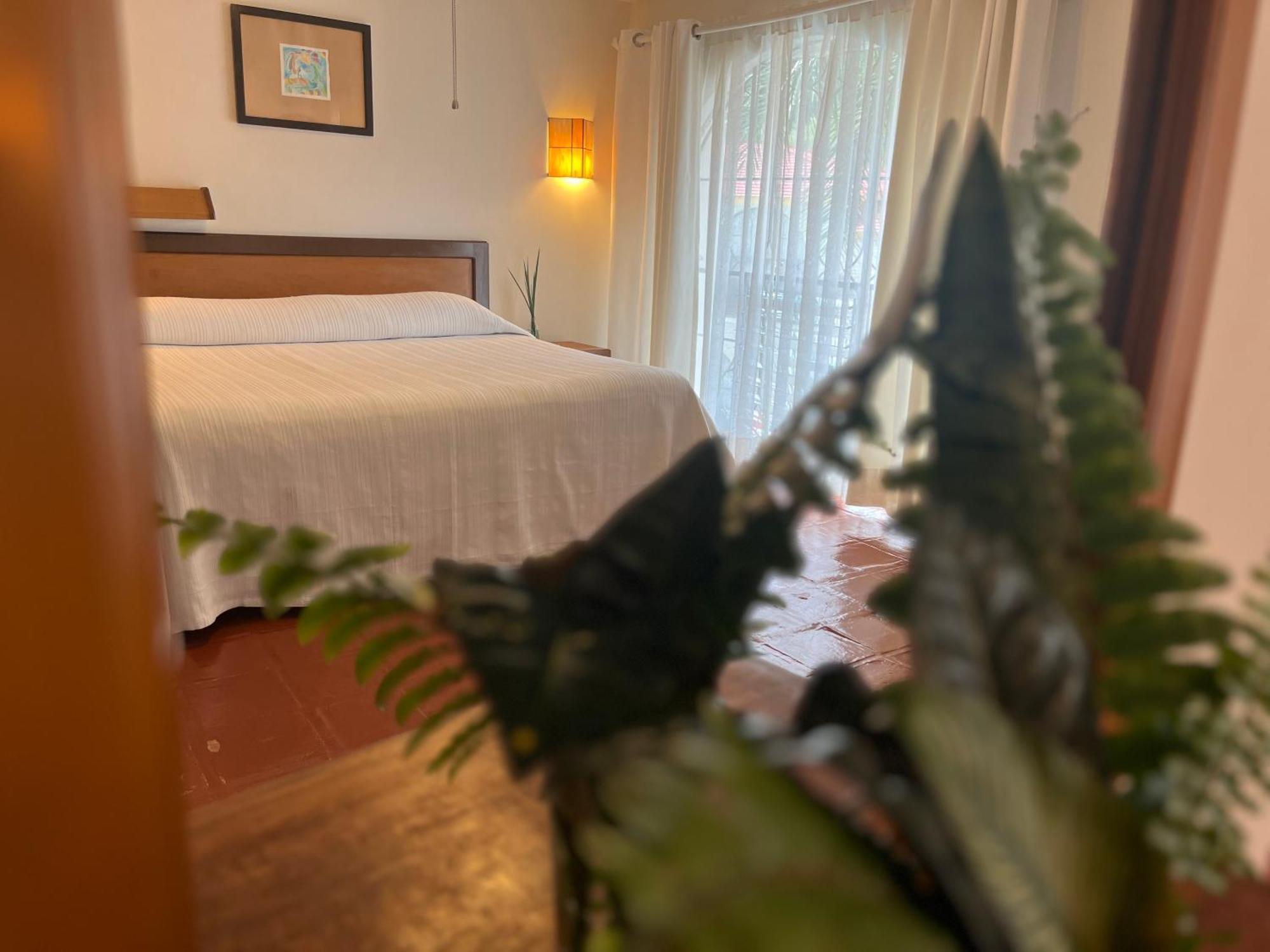 Hotel Ilebal Cuernavaca Centro - Lugar Con Encanto! Exteriör bild