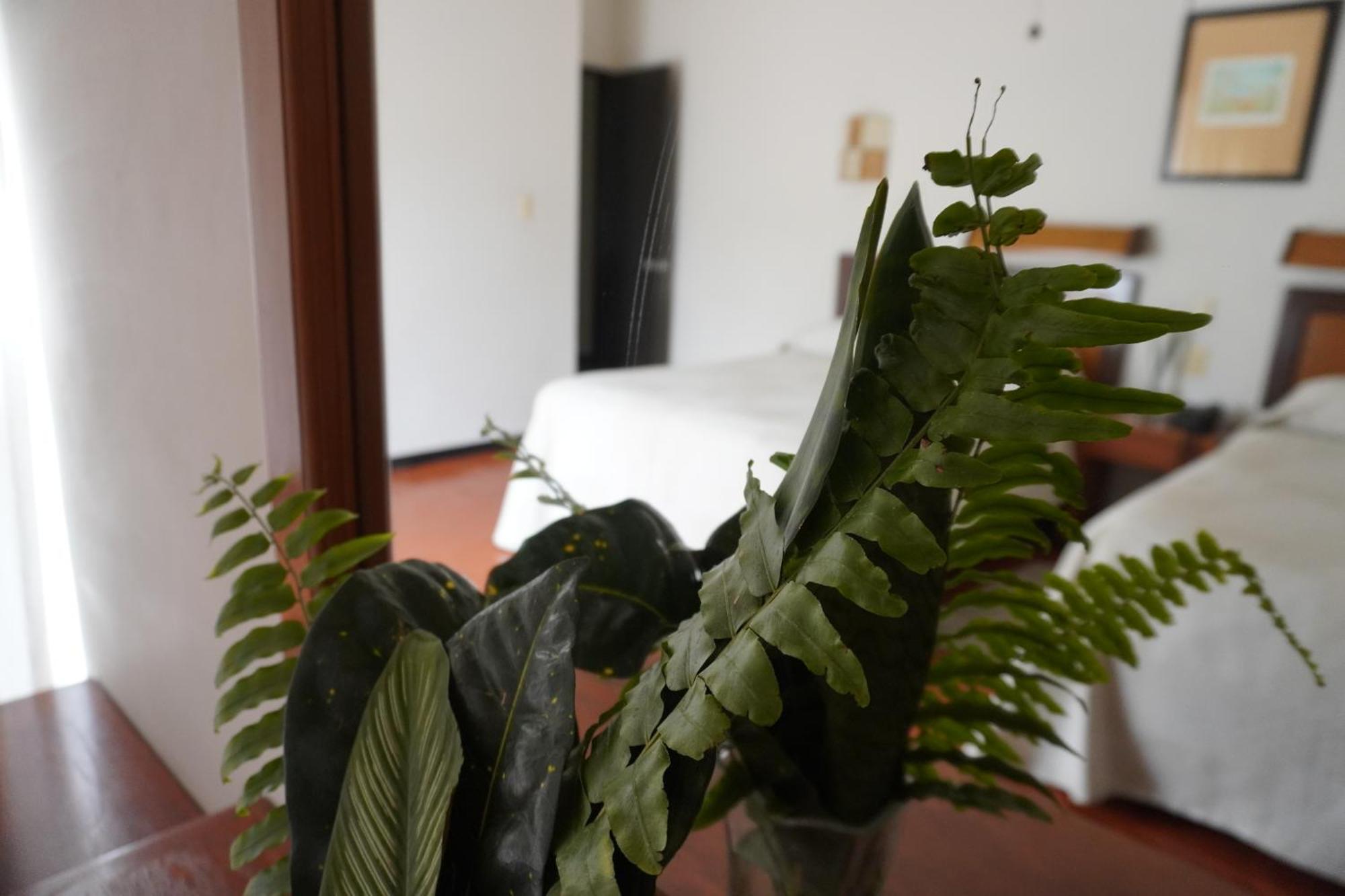 Hotel Ilebal Cuernavaca Centro - Lugar Con Encanto! Exteriör bild